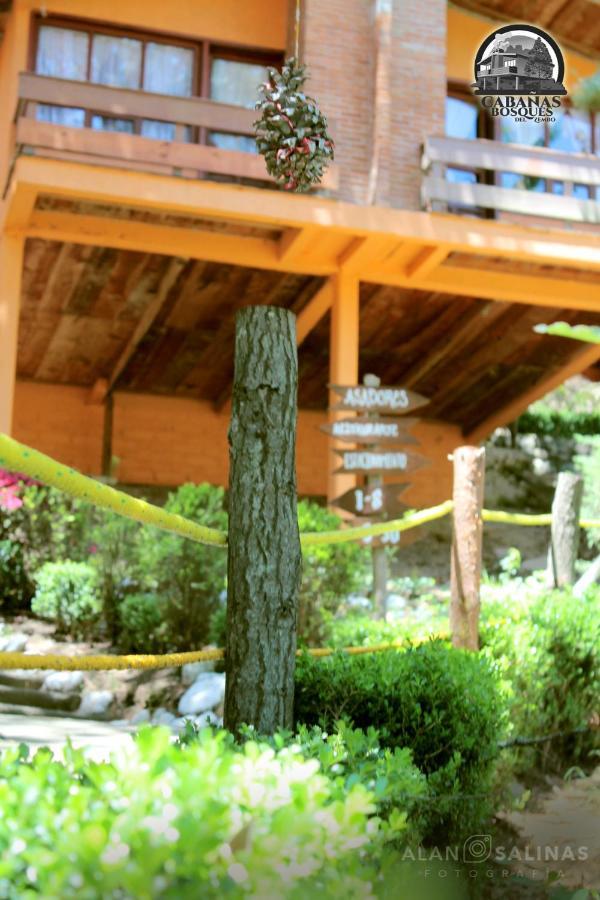 Cabanas Los Bosques Del Zembo Уаска-де-Окампо Экстерьер фото