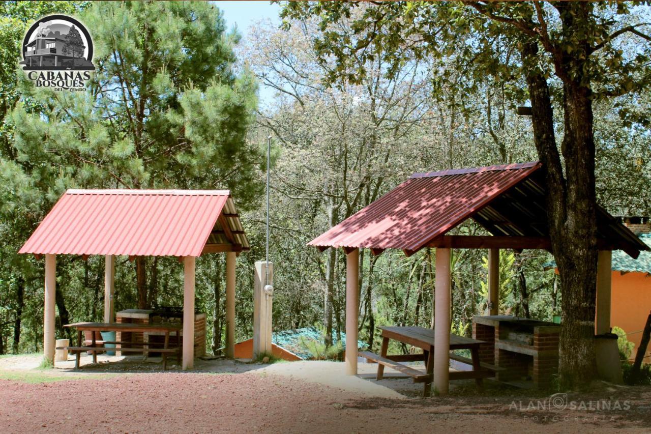 Cabanas Los Bosques Del Zembo Уаска-де-Окампо Экстерьер фото