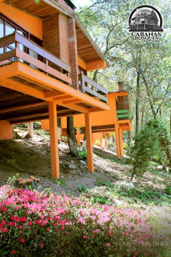 Cabanas Los Bosques Del Zembo Уаска-де-Окампо Экстерьер фото