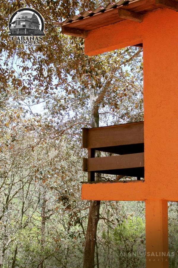 Cabanas Los Bosques Del Zembo Уаска-де-Окампо Экстерьер фото