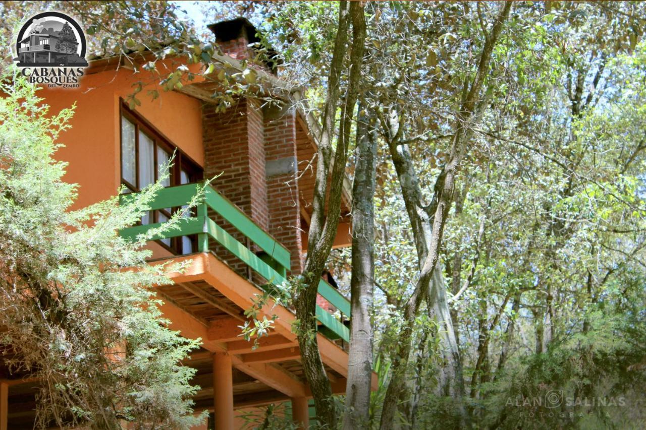 Cabanas Los Bosques Del Zembo Уаска-де-Окампо Экстерьер фото