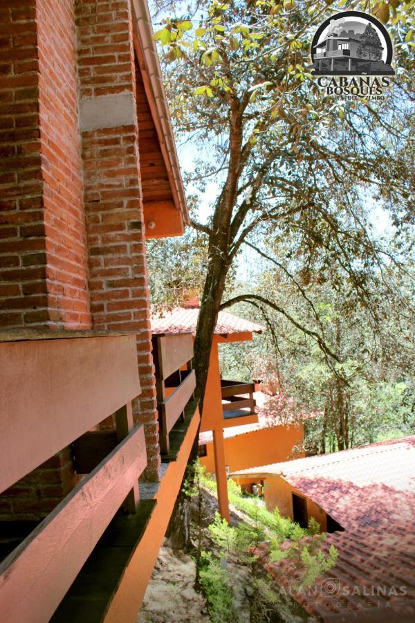 Cabanas Los Bosques Del Zembo Уаска-де-Окампо Экстерьер фото
